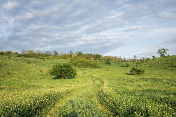 Excursion culturelle : Participer à des ateliers d'artisanat local