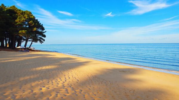 Découvrez Carnon-Plage : témoignages des habitants sur la station